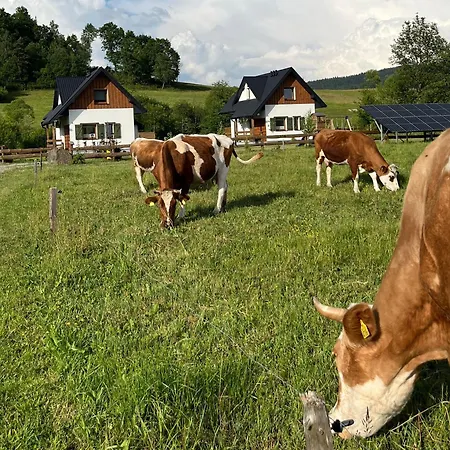 Zagroda Wypoczynkowa- Nad Rzeka Casa vacanze *